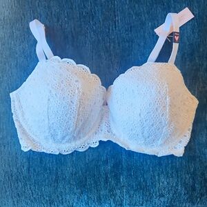 Eyelet Lace Balconette Bra